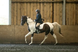 Isis Dressage Crown Farm Show 29th April 2012